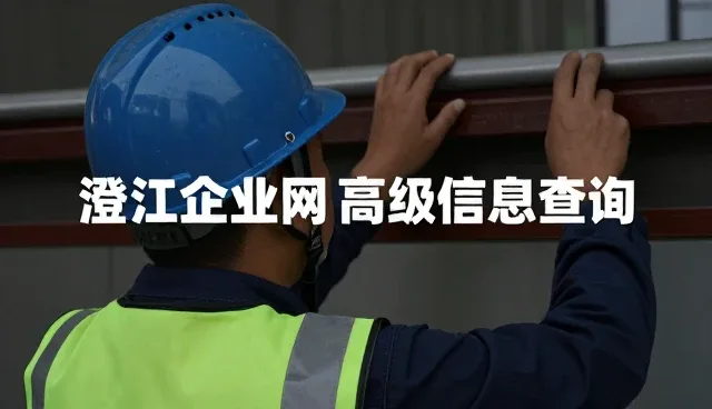 信息查询平台的性能表现与实际应用条件分析